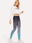 Wide Waistband Ombre Leggings