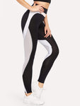 Contrast Mesh Skinny Leggings