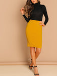 Slim Fit Pencil Skirt