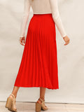 Drawstring Waist Pleated Skirt