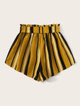 Paperbag Waist Self Belted Striped Shorts