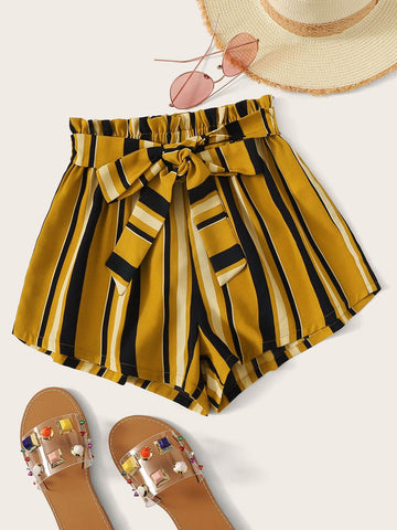 Paperbag Waist Self Belted Striped Shorts