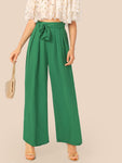 Fold Pleat Belted Palazzo Pants